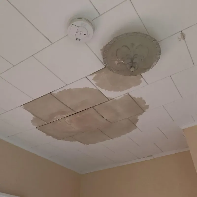 Ceiling Water Damage Repair in Las Ollas, PR