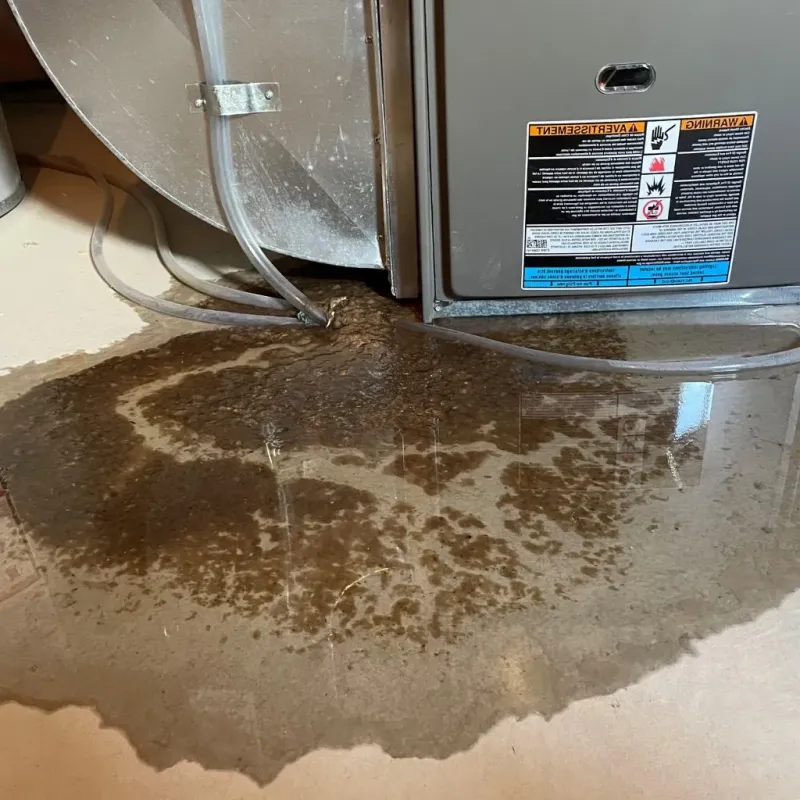 Pipe Burst and Leak Restoration in Las Ollas, PR