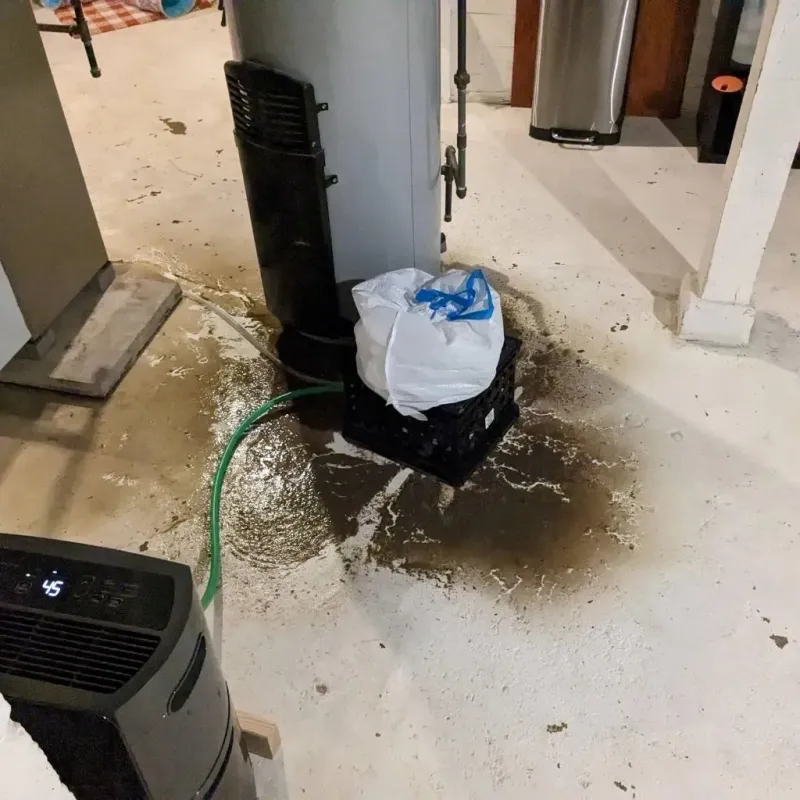 Sewage Backup Cleanup Service in Las Ollas, PR